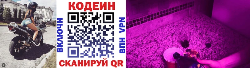 купить закладку  Гулькевичи  mega ССЫЛКА  Кодеин Purple Drank 