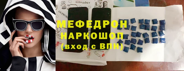 индика Бронницы