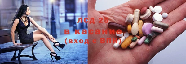 индика Бронницы