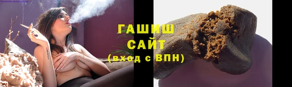 индика Бронницы