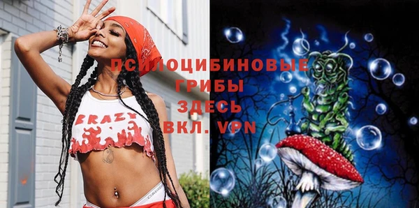 индика Бронницы