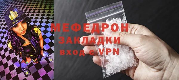 индика Бронницы