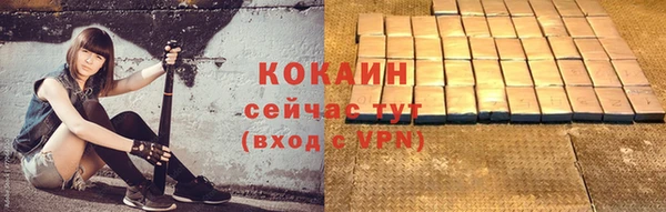 индика Бронницы