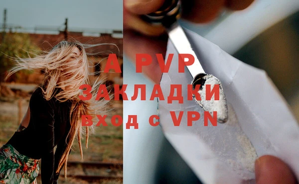 индика Бронницы