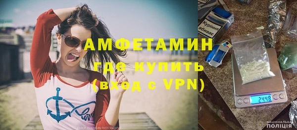 PSILOCYBIN Бородино