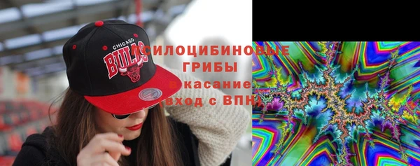 PSILOCYBIN Бородино