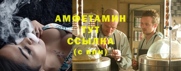 индика Бронницы