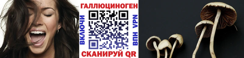 наркота Гулькевичи Галлюциногенные грибы Magic Shrooms